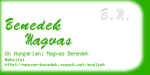 benedek magvas business card